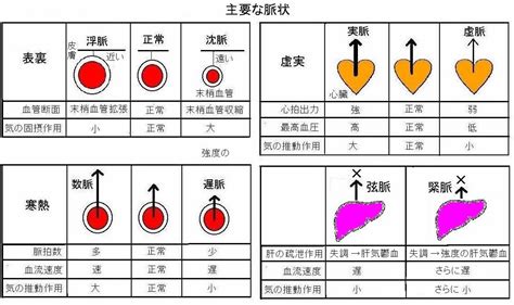 脈弦細